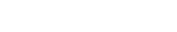 Jako lvi aneb Sestup a vzestup pana B.
