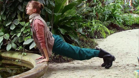 Jogínci na cestách - Kobra v zahradě