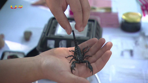 Zprávičky - 26. května 2024