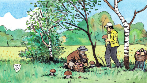 Na houby - 3/13 Kozí hřiby