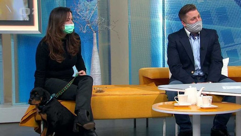 Dobré ráno - 17. února 2021