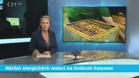 Události v regionech (jih a západ) - 1. srpna 2024