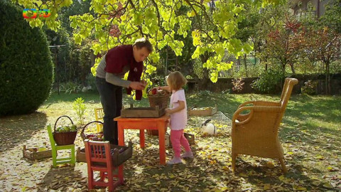 Moje zahrádka - Sklizeň