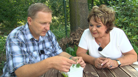 Hobby naší doby - Hobby naší doby - letní speciál