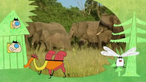 Náš zvěřinec - Módní kolekce jaro, léto 2014