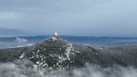 Nedej se! - Pro dohodu na žebrotu