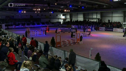 Jezdectví - Jezdecký festival v Lysé nad Labem