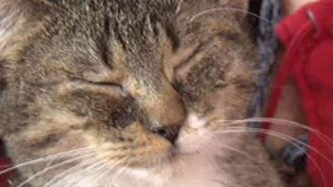 Chcete mě? - 26. března 2010