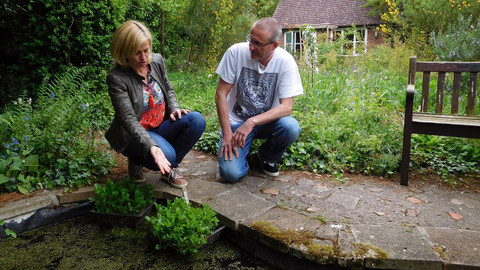 Kouzelné bylinky - Zelené království anglické
