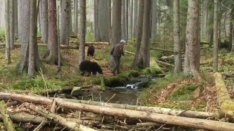 Méďové na cestách - 37/43 Pošumaví