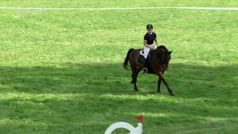 Jezdectví - Zlatá podkova 2023 v Humpolci