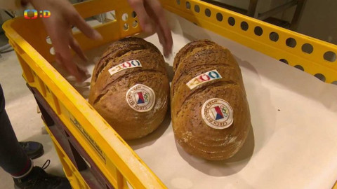 Zprávičky - 19. února 2018