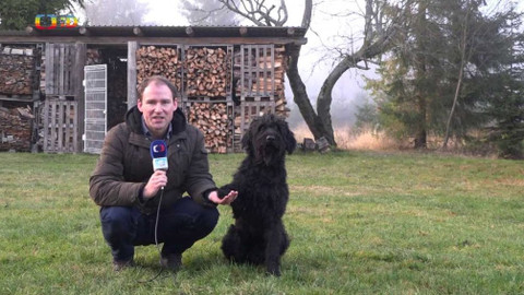 Zprávičky - 12. listopadu 2020