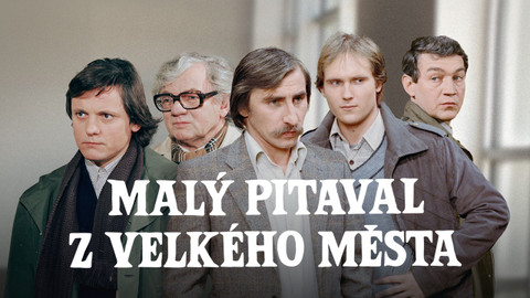 Malý pitaval z velkého města