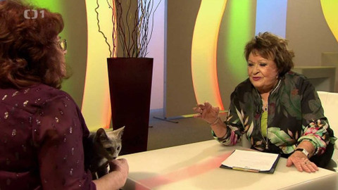 Hobby naší doby - 4. ledna 2020