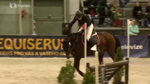 Jezdectví - Jezdecký festival v Lysé nad Labem