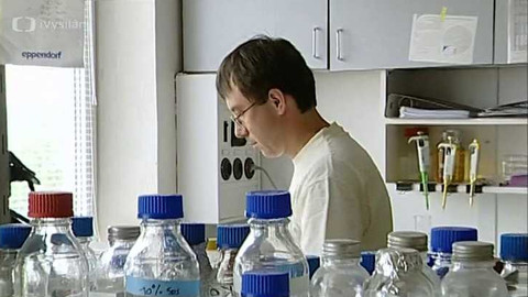 Cesta k průměrnosti