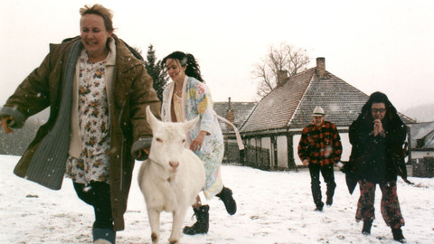 Ranč U Zelené sedmy - 25/42 Jak jsme všichni utrpěli šok