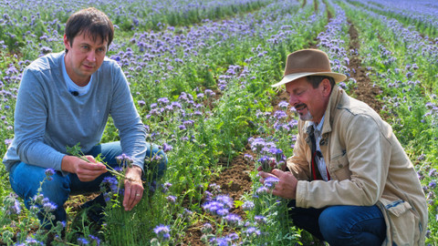 Trvalé bydliště venkov - 15/16 Za vším hledej hnůj