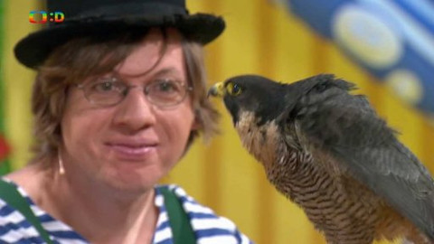 Hýbánky - Sedí sokol na javori