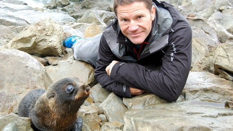 60 zvířecích zabijáků - Epizoda 20/20