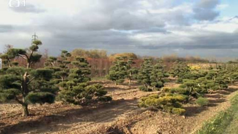 Objektiv - 28. září 2014