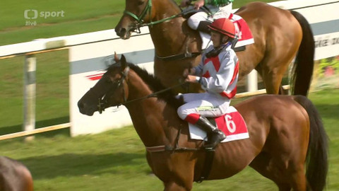 Dostihy - Cena města Karlovy Vary