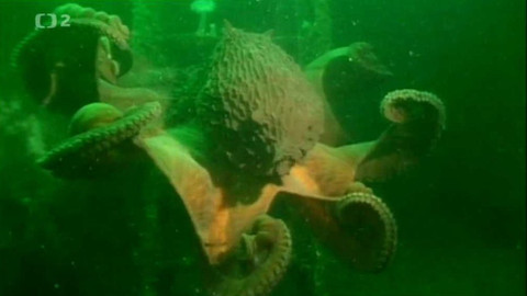 Dobrodružství vědy a techniky - Inteligentní monstra