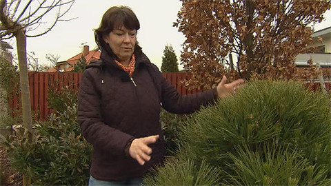 Zahrada pod lupou - 17. března 2012