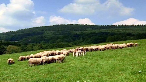 Pod pokličkou - Biomaso bez řečí o chuti tě přesvědčí