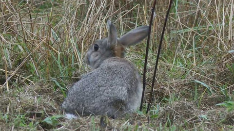 Novinky z přírody - Epizoda 29/53