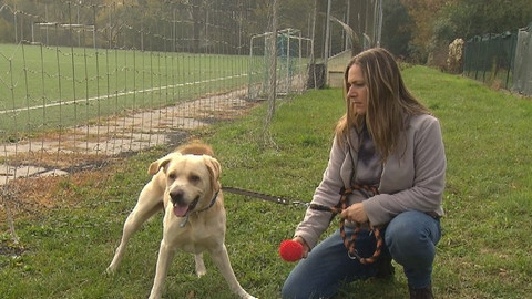 Chcete mě? - Chcete je?