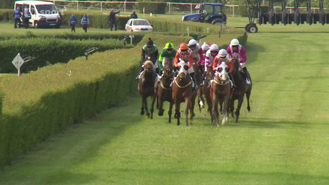 Koně a sport - 12. června