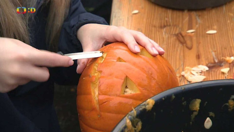 Zprávičky - 31. října 2022