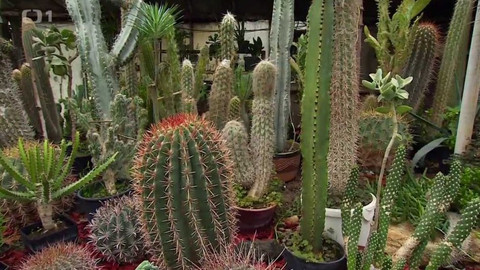 Polopatě - 15. listopadu 2015