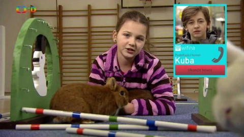 Wifina - 6. února 2015