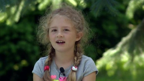 Paličky - Přátelství