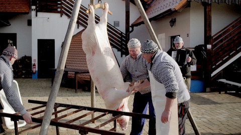 Co naše babičky uměly a na co my jsme zapomněli - Slovácká zabijačka