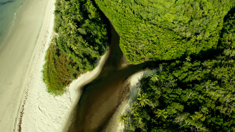 Poslední přírodní ráje - 3/3 Daintree, nejstarší prales světa