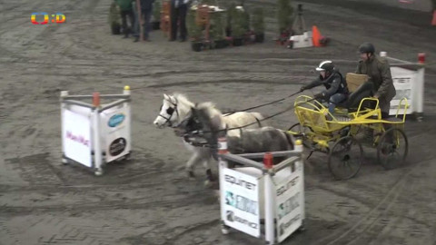 Zprávičky - 5. února 2019