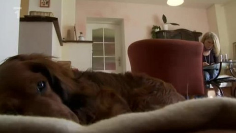 Chalupa je hra - 8. června 2010