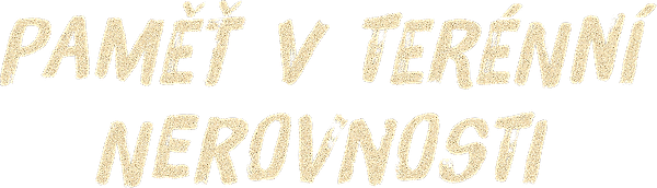Paměť v terénní nerovnosti