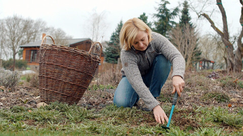Kouzelné bylinky - Věčné téma rakovina