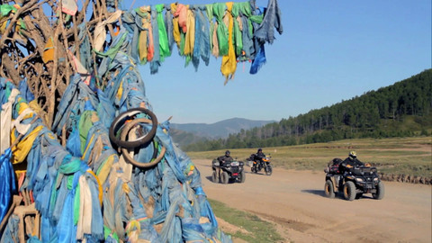 Dokolakolem - 4/6 Šlichta pro psy