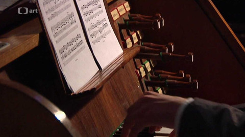 Třeboňská nocturna - Třeboňská nocturna 2014