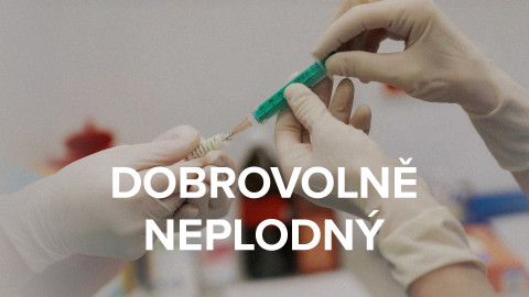 Dobrovolně neplodný