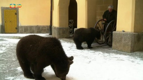 Méďové na cestách - 30/43 Střední Povltaví