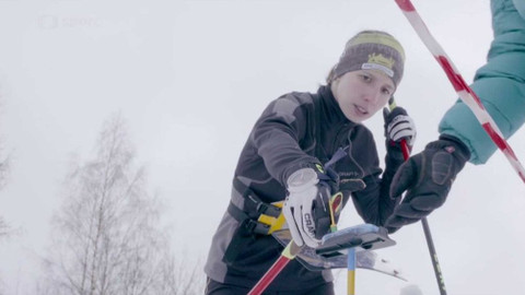 Sportovní běh a chůze - M ČR v LOB 2017