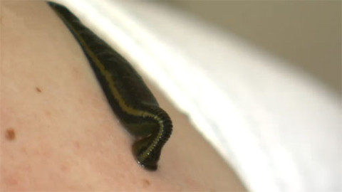 Tep 24 - 30. dubna 2011