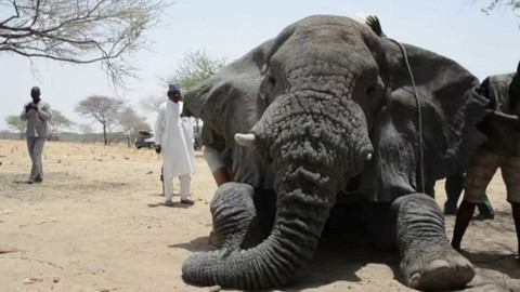 Objektiv - 27. prosince 2015